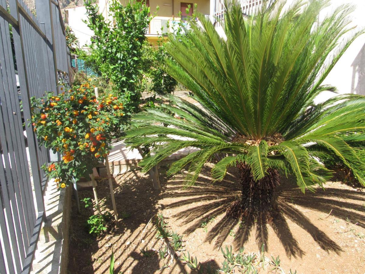 La Cycas Bed & Breakfast Трабия Екстериор снимка