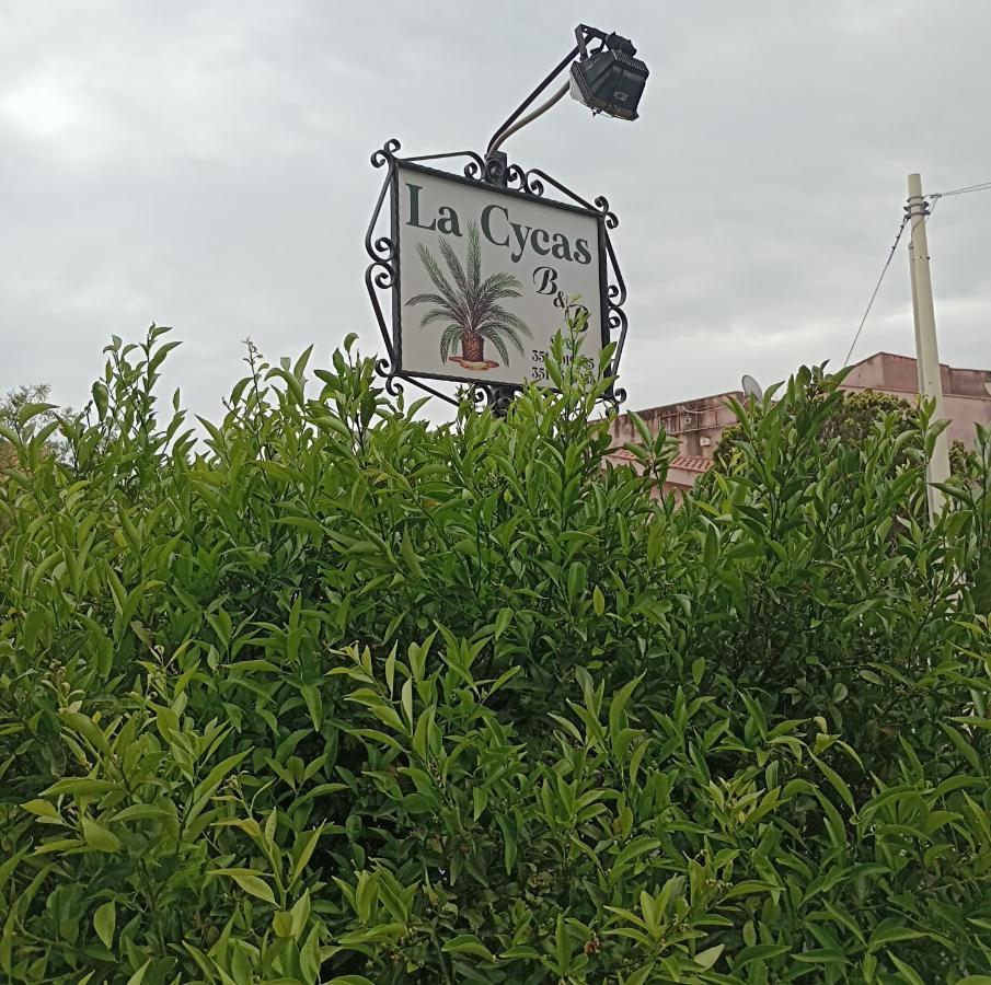La Cycas Bed & Breakfast Трабия Екстериор снимка