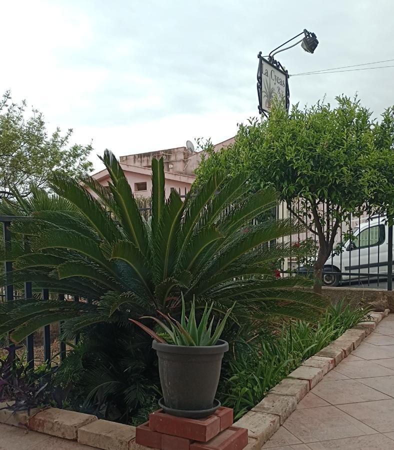 La Cycas Bed & Breakfast Трабия Екстериор снимка