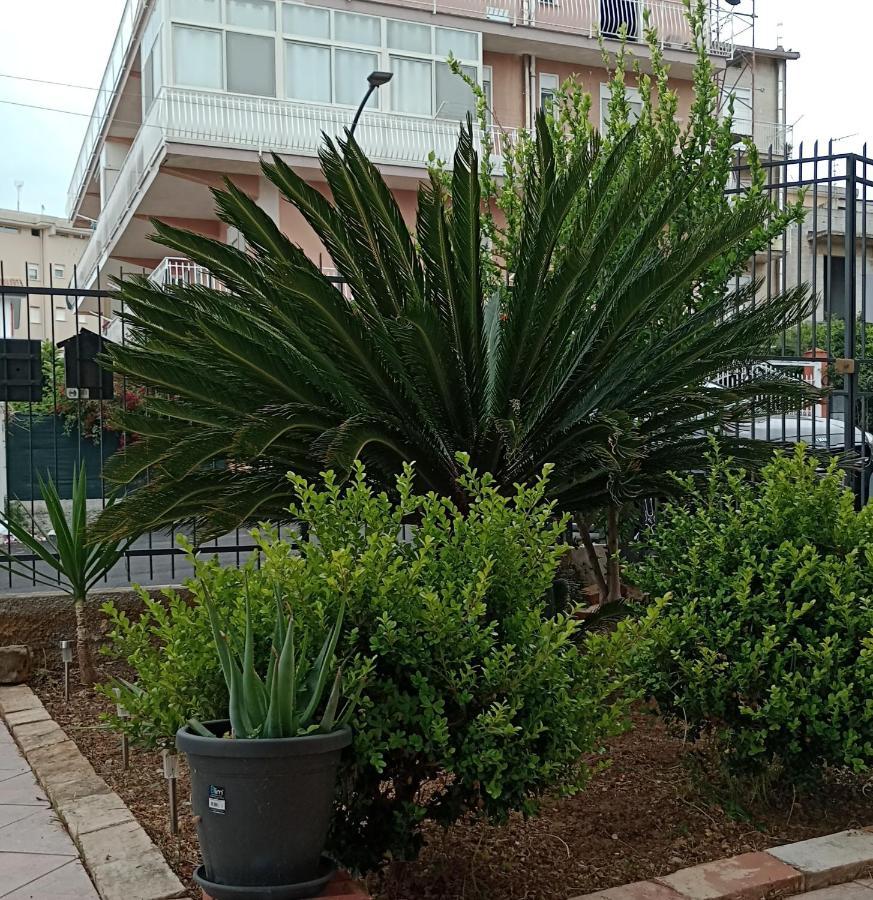 La Cycas Bed & Breakfast Трабия Екстериор снимка